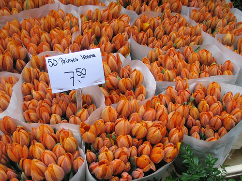 551881920_04eff44fe0