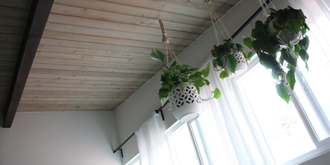 Hangingplanters