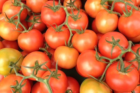 Photowalkcolor2 Photowalkcolor2