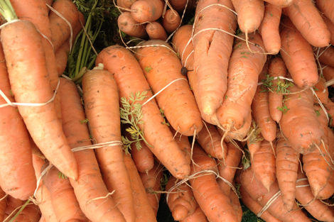 Photowalkcolor8 Photowalkcolor8