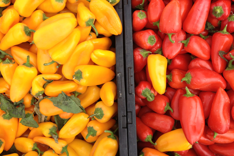 Photowalkcolor7 Photowalkcolor7