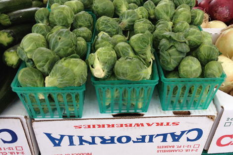 Photowalkcolor4 Photowalkcolor4