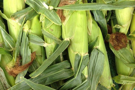 Photowalkcolor5 Photowalkcolor5