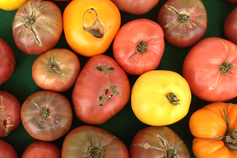 Photowalkcolor6 Photowalkcolor6