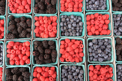 Photowalkcolor11 Photowalkcolor11