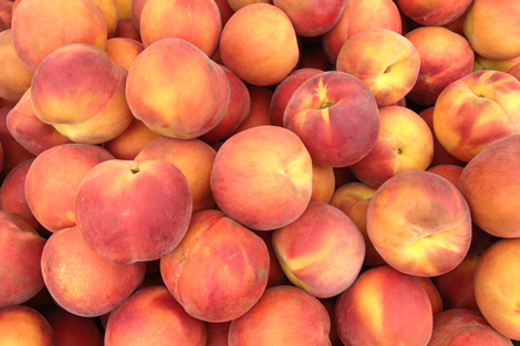 Photowalkcolor10 Photowalkcolor10