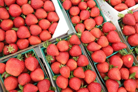 Photowalkcolor12 Photowalkcolor12