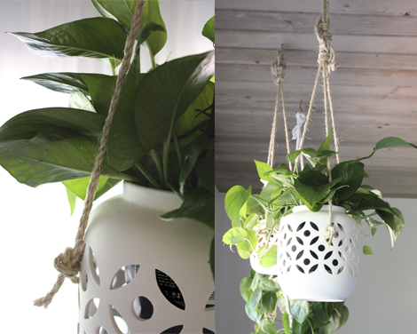 Hanging planters on rope