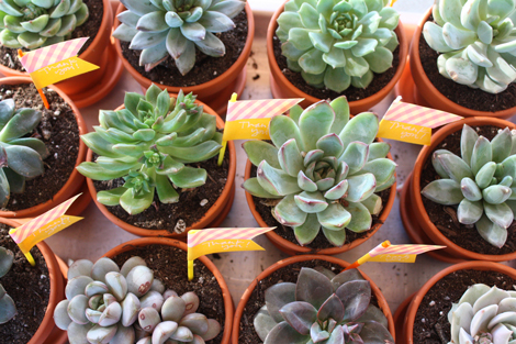 Baby-shower-thank-you-favors