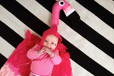 Flamingobaby