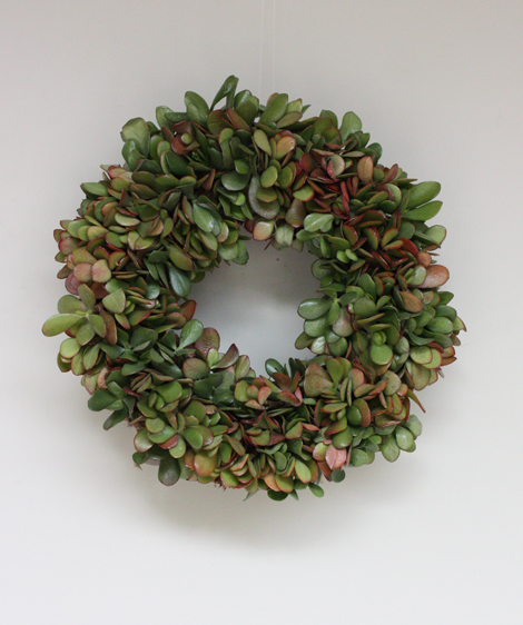 Succulentwreath