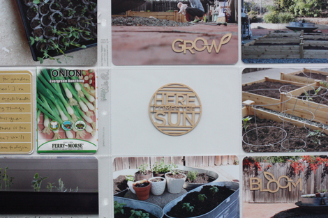 MARCHplgardendetail2