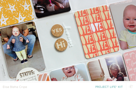 EliseCripeSCMarchdetailblog