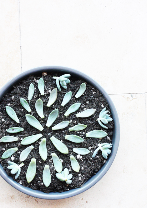 Propogating3 Propogating3