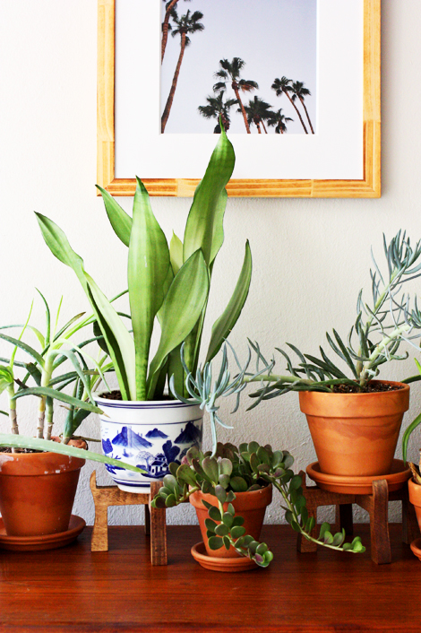 Plantstands Plantstands