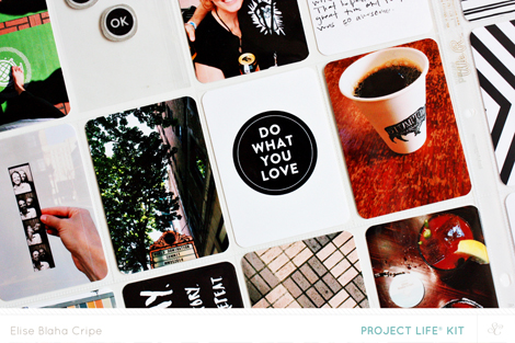 EliseCripeSCSandlotdetail