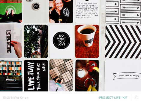 EliseCripeSCSandlotdetail2