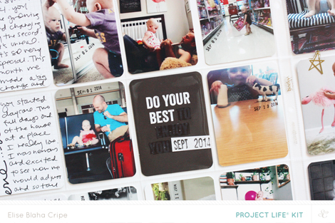 EliseCripeOCTdetail2