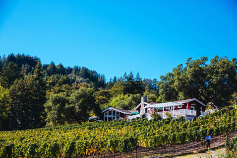 Santa-Cruz-Wedding-Photographer-072-photo