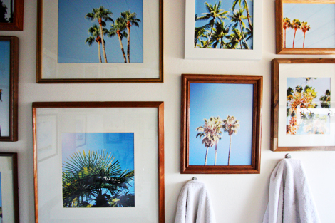 palm tree gallery wall