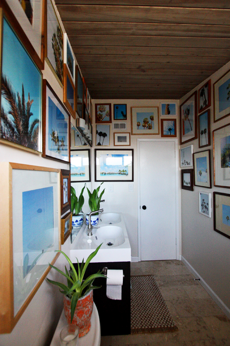 palm tree gallery wall