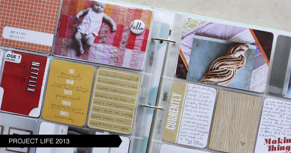 PROJECT2013 PROJECT2013