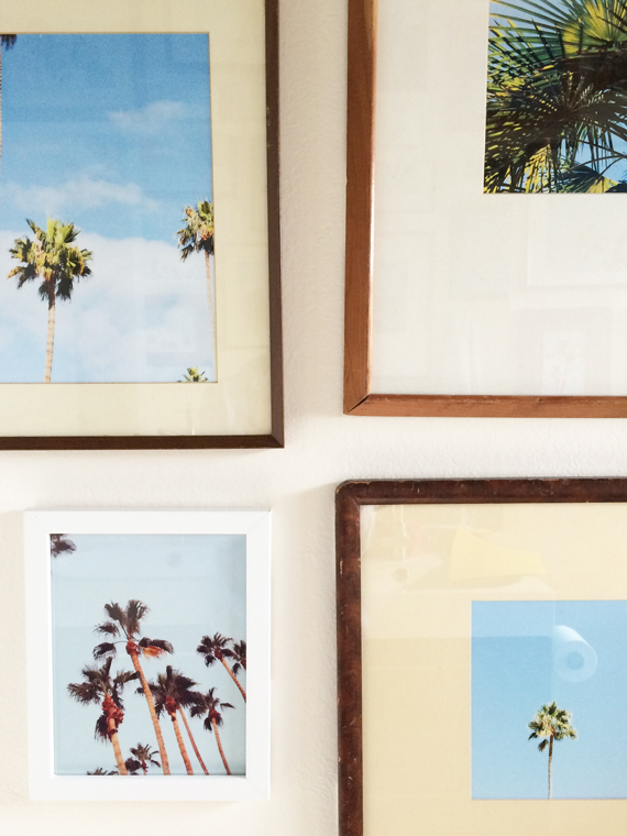 palm tree art IMG_0372