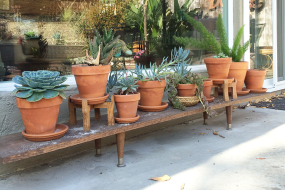 diy wooden plant stand IMG_0377