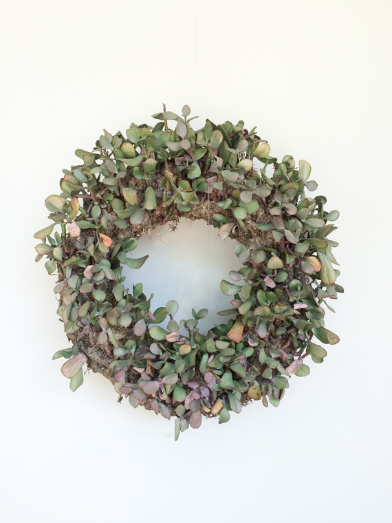 jade succulent wreath IMG_0378