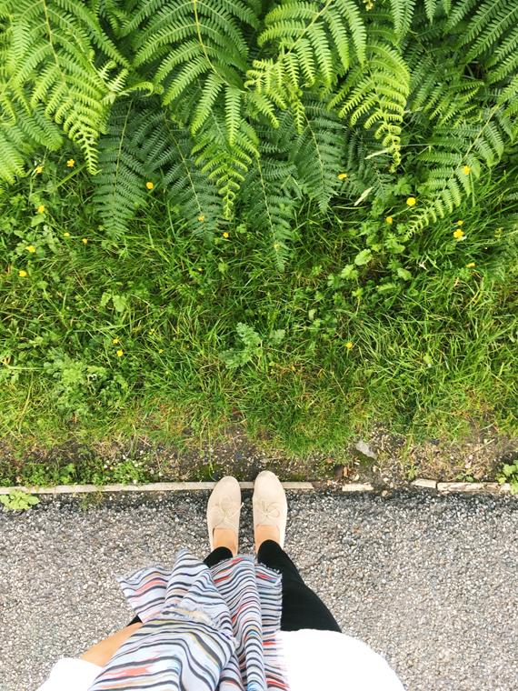 IMG_4314 2 IMG_4314 2