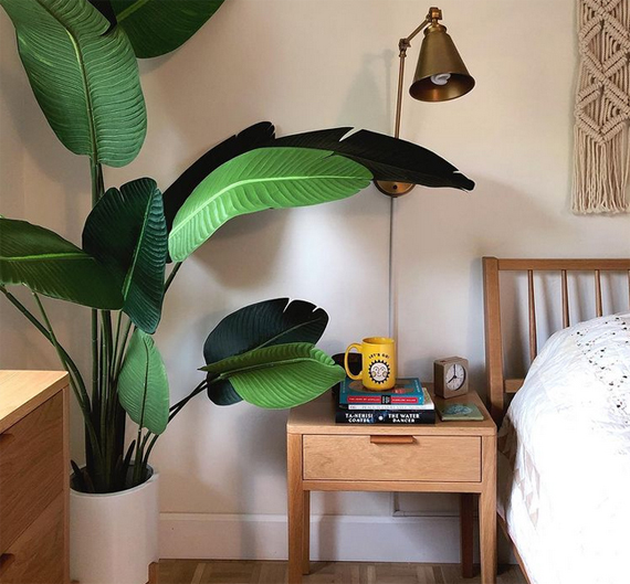 Fake plant Fake plant