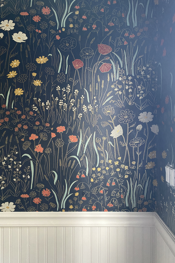 Cripe cottage 6 months7