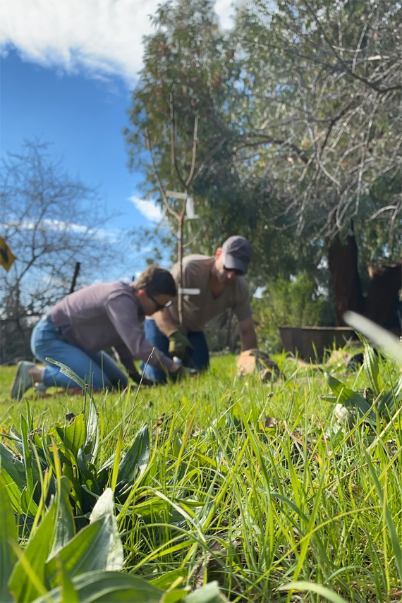 Cripe cottage 6 months13