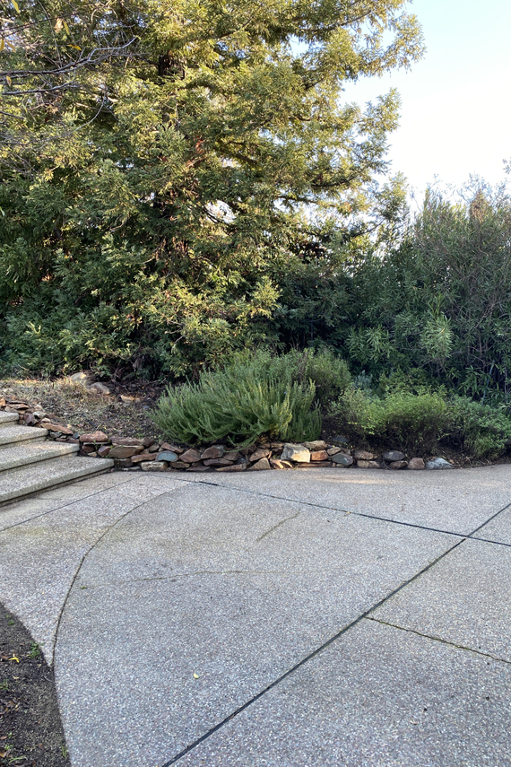 Cripe cottage 6 months9